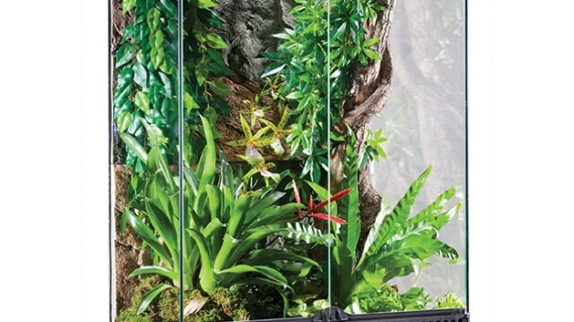 exo-terra-surungenler-icin-teraryum-60x45x90-cm-kafes-ve-teraryumlar-exo-terra-3398-28-B